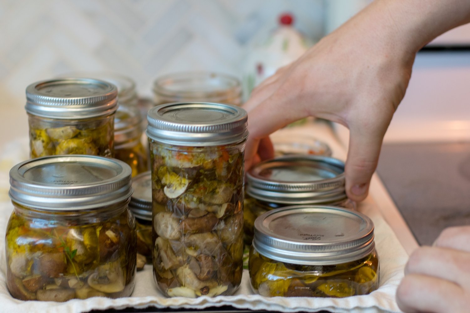 Italian Marinated Mushrooms Home Canning Recipe